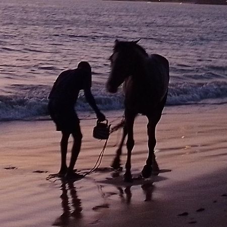 Paradisplage, 1 Minute De La Mer Салі-Портюдаль Екстер'єр фото